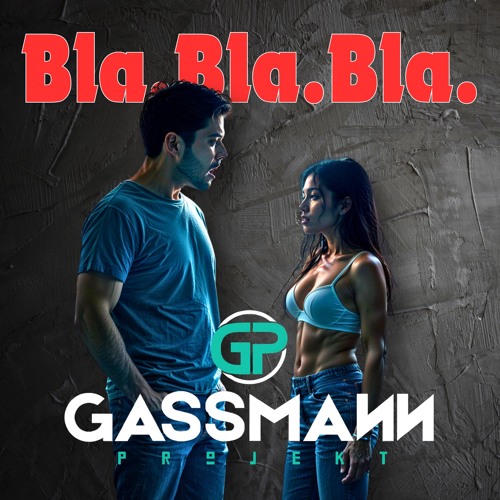 GASSMANN PROJEKT BLABLABLA