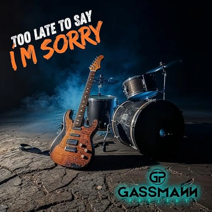 GASSMANN PROJEKT TOO LATE TO SAY IM SORRY